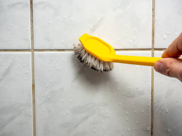 Best Mold Inspection  in Tahoka, TX