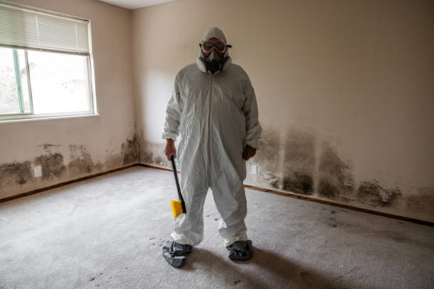 Best Affordable Mold Removal  in Tahoka, TX